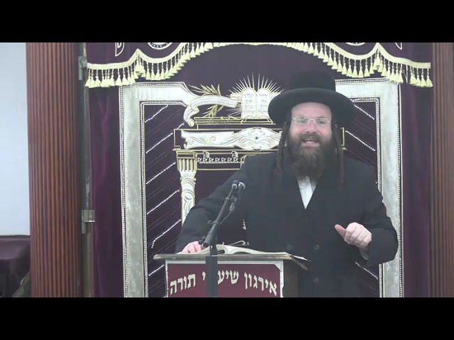 דינים הנוגעים לביטוח, ירושה, מזיק ועוד -  ר' אברהם שווארץ שליט"א