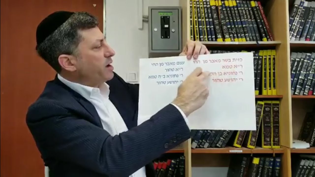 Daf Yomi Chullin Daf 129  by R’ Eli Stefansky