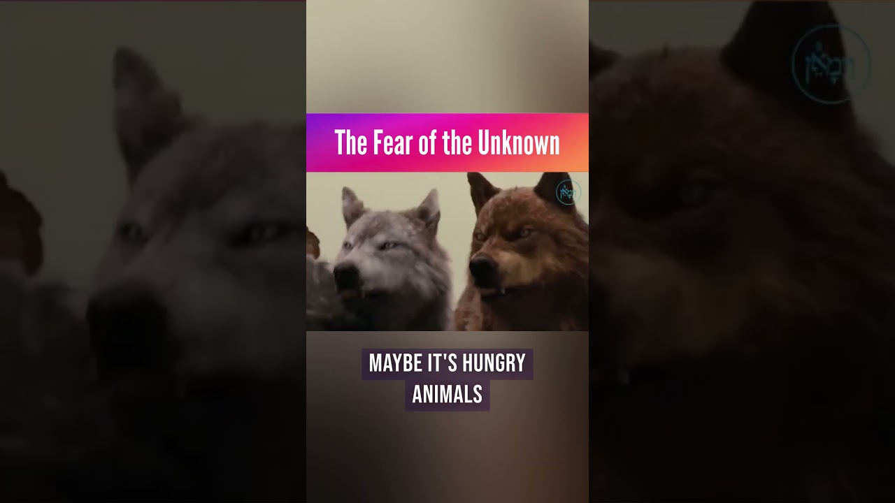 The Fear of The Unknown | Rabbi Joey Haber