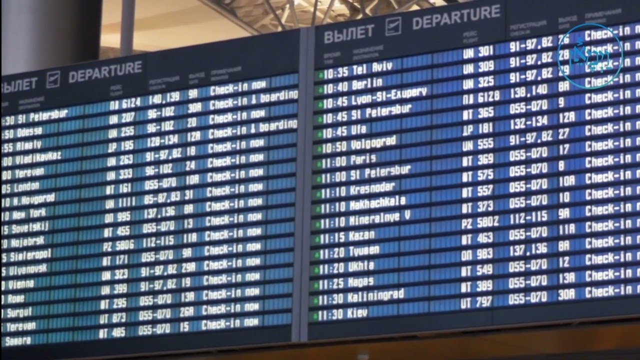 It's Not Your Flight | Rabbi Joey Haber