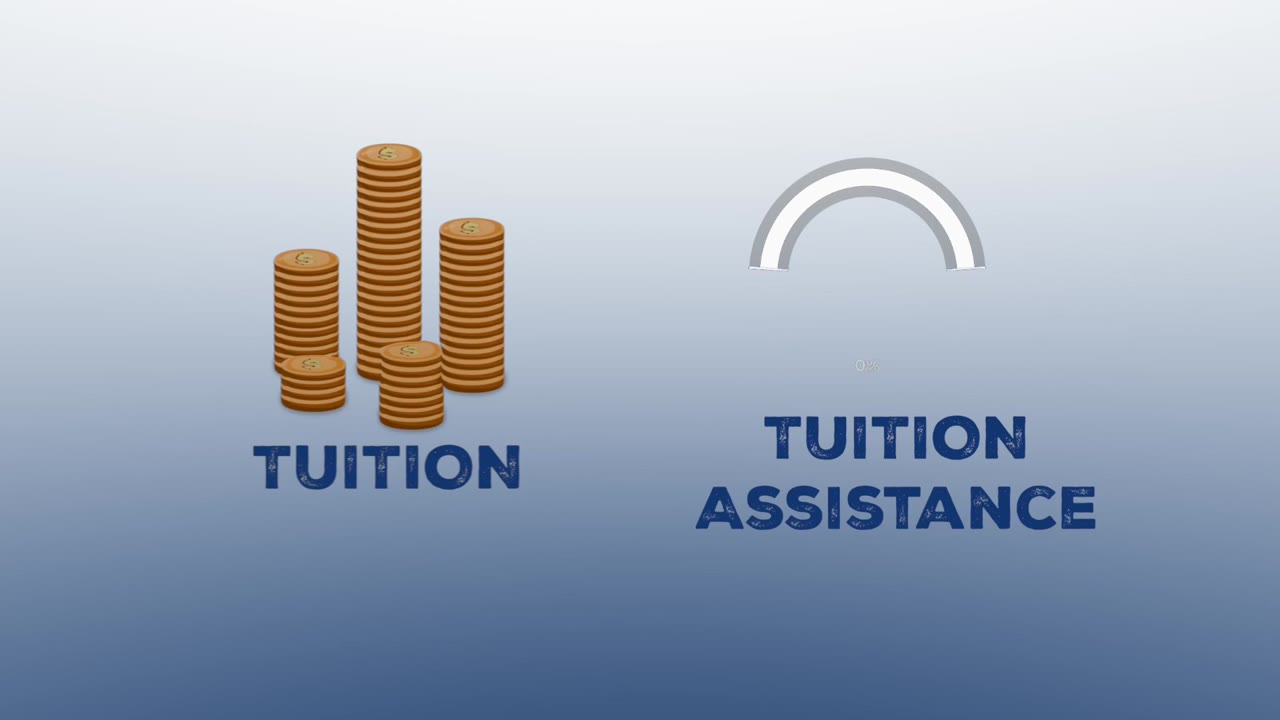 SEFA - Animated Tutorial Video