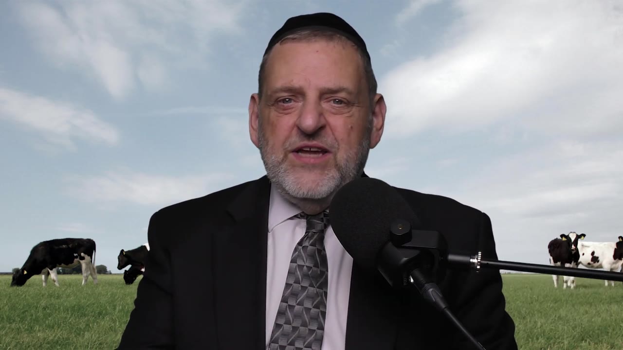 Noach - No People No Purpose | Rabbi Dovid Orlofsky