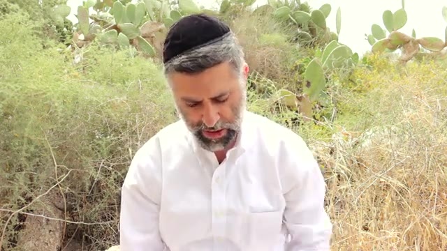 Bitachon 208 - Israel's Real Iron Dome