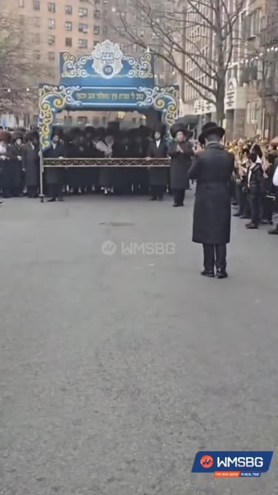 Hachnoses Sefer Torah To Vein Shul | הכנסת ספר תורה לבהמ”ד וויען